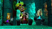 Cortex Castle Nitro-Fueled.jpg (383 kB)