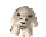 Polarbear.jpg