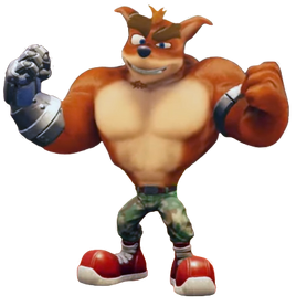 CTR-NF