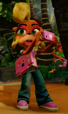 Coco Bandicoot - N