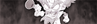 Cortex in the Bang! banner