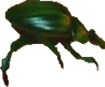 A scarab from Warped