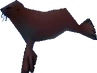 A Seal
