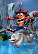 Crash and polar