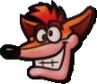 Crash's mug from Crash Bandicoot