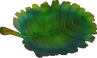 Crash Bandicoot North. Sane Trilogy Leaf
