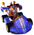 Crash in the Team Bandicoot kart