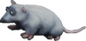 Crash Bandicoot N. Sane Trilogy Possum