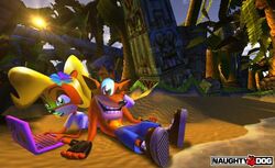 Crash B..jpg