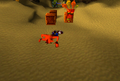 Crash washed up on the beach after jumping out of Cortex Castle