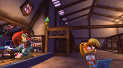 Bandicoot House Bandipedia Fandom Bandicoot House Bandipedia Fandom