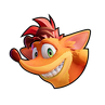 Crash's mug