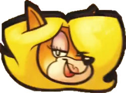 images Crash Bandicoot Tawna Icon tawna gallery bandipedia fandom