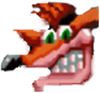 Crash's mugshot from CTR