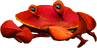 A Crab from Crash Bandicoot