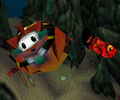 Crash becomes inflated.