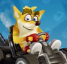 Crash's Shiba skin.