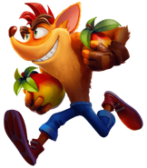 Artwork of Crash carrying Wumpa Fruit.