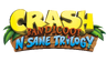 N Sane logo