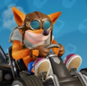 Crash's Aviator skin.