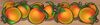 Rumble wumpaful banner
