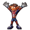 Crash's Hockey skin