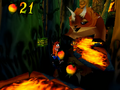 A giant triceratops chasing Crash and Aku Aku.