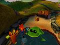 A frog as seen in Toad Village in Warped