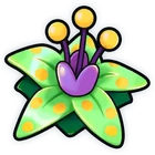 Pop Blossom icon