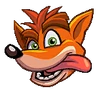 Crash's portrait