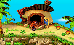Bandicoot House Bandipedia Fandom Bandicoot House Bandipedia Fandom