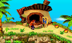 Bandicoot House Bandipedia Fandom