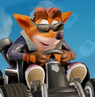 Crash's Biker skin.