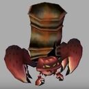 Barrel Hermit Crab