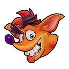 Fake Crash's mug