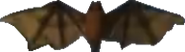 Bat Crash Bandicoot