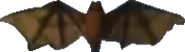 A Bat in Crash Bandicoot