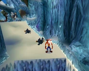 Sliding Penquins.jpg (686 KB) These penguins are sliding away, right towards Crash