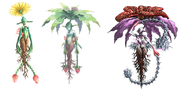 Psycho Mandrake