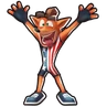 Crash's USA Jersey skin