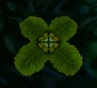 A Lily Pad