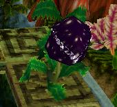 Man-Eating Plant | Bandipedia | Fandom