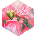 Rumble cold blooded emblem