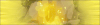 Rumble time's up banner
