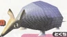 Promotional render of an Armadillo