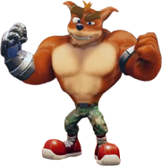 Nitro Fueled