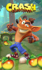 Crash bandicoot mobile 4