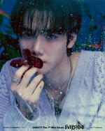 EVERSHINE - Nightfall ver.