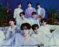 EVERSHINE - Nightfall ver.