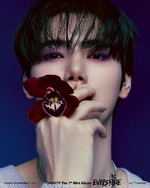 EVERSHINE - Nightfall ver.